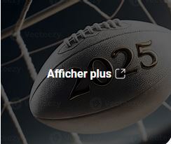 L'Afrique du Sud bat l'Irlande 24 à 13