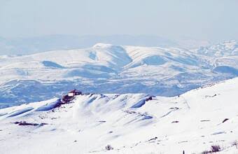 The Art of Baking: From Classic Bread to Artisan Pastries