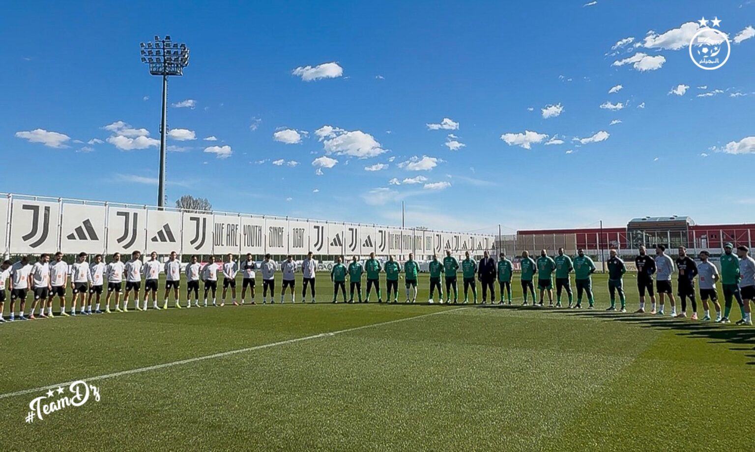 The Art of Baking: From Classic Bread to Artisan Pastries