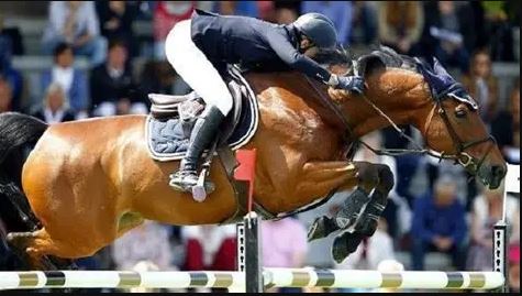 Oran accueillera la compétition du 17 au 20 décembre