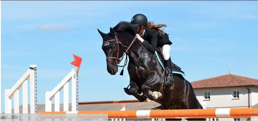 Début des épreuves du championnat d’Algérie individuel seniors de saut d’obstacles à Oran