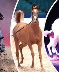 Le cadet Boudjellal Iyad et le junior Bencheikh Aymen sacrés à Tipaza