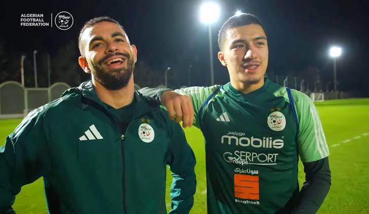 Fin de parcours pour les Fennecs