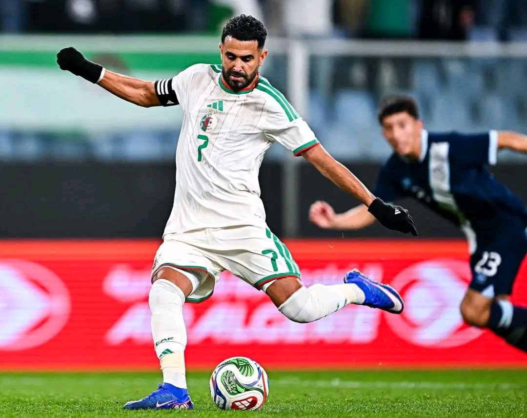 Zoom sur les statistiques de la star des Fennecs