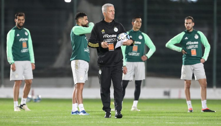 Petković mise sur la forme et la discipline avant la CAN