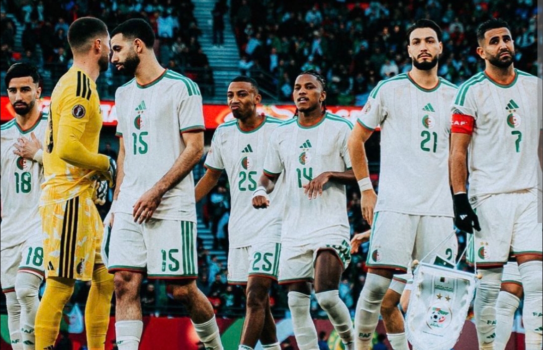 The Art of Baking: From Classic Bread to Artisan Pastries